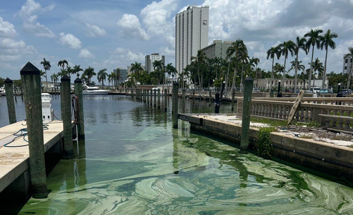 Florida And South Korea Partner To Combat Harmful Algal Blooms | The ...